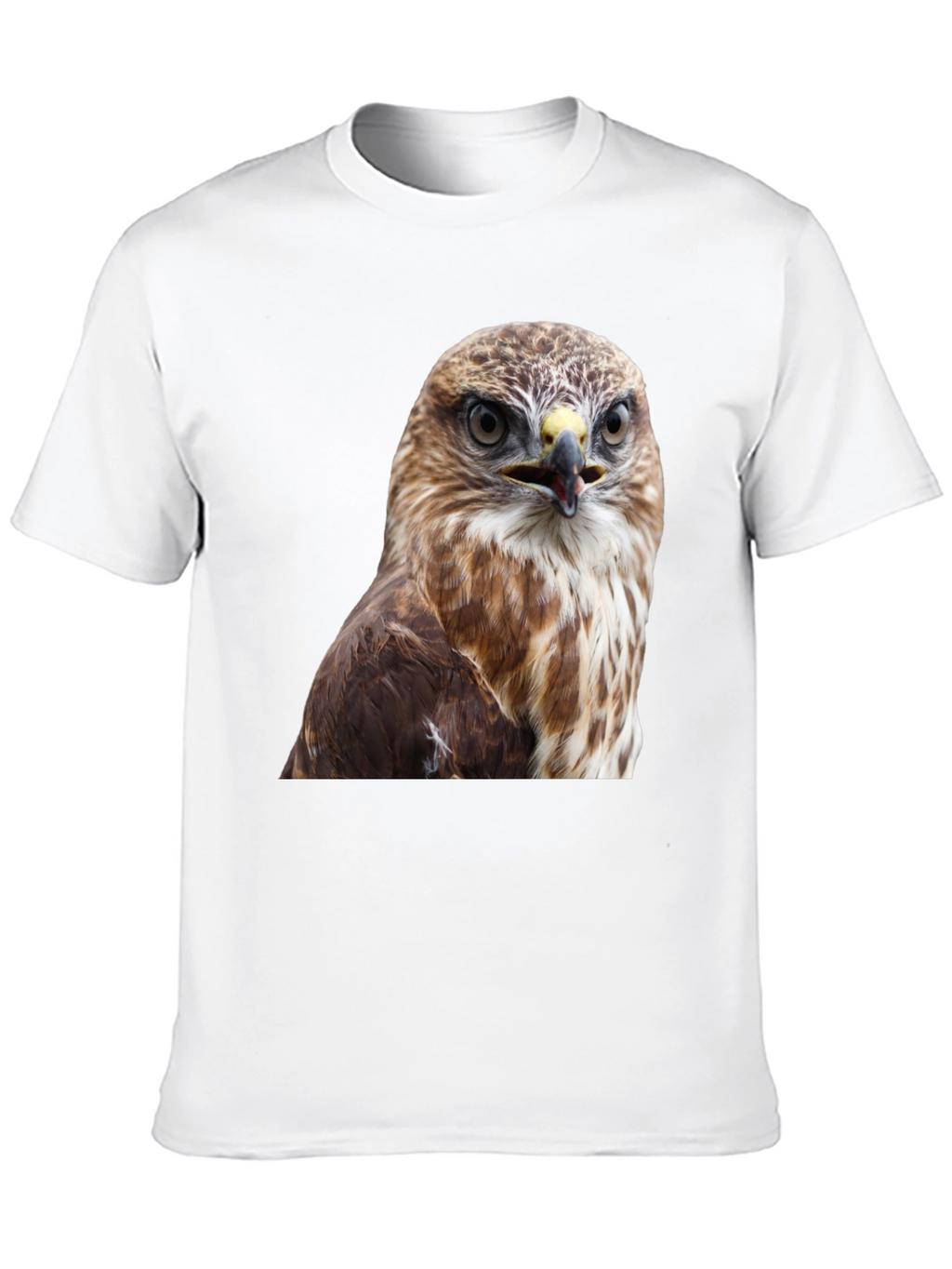 Cool Hawk Graphic T-Shirt - Mens Black Tee