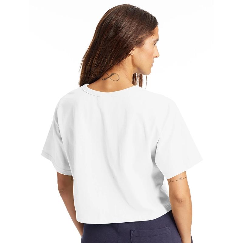 Baseball Player With Ball And Baseball Glove