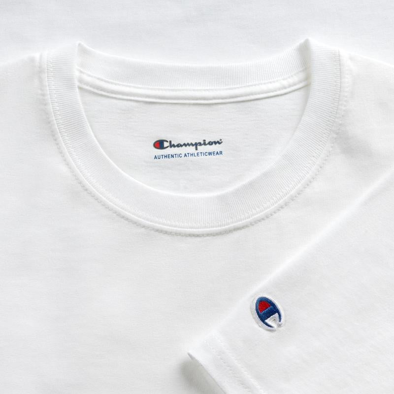 Cat Thanksgiving Pilgrim