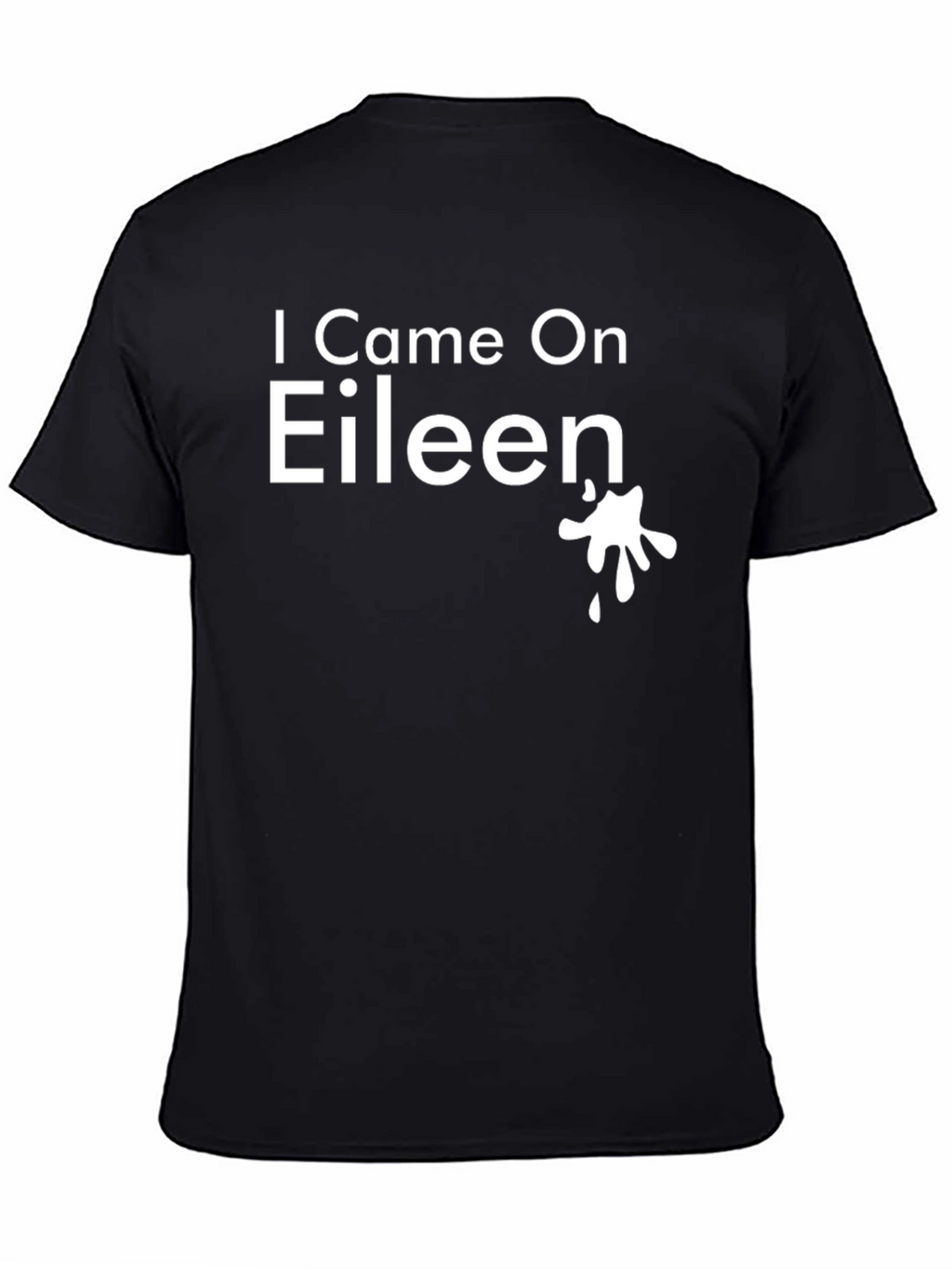 I Came On Eileen T-Shirt - Funny Novelty Tee