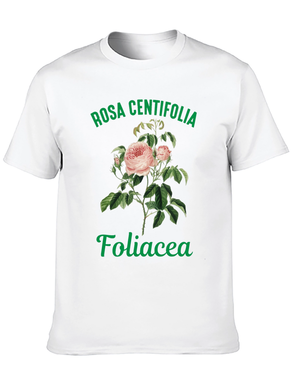Rosa Centifolia Foliacea Graphic Tee