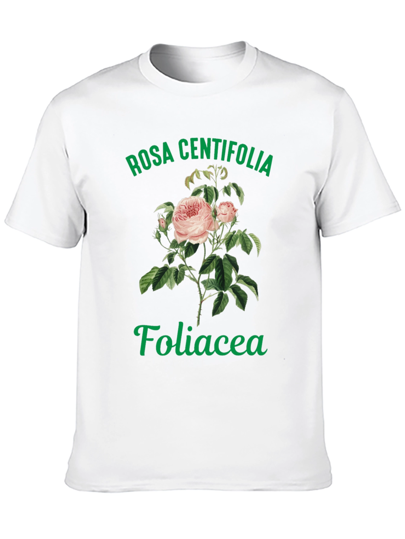 Rosa Centifolia Foliacea Graphic Tee