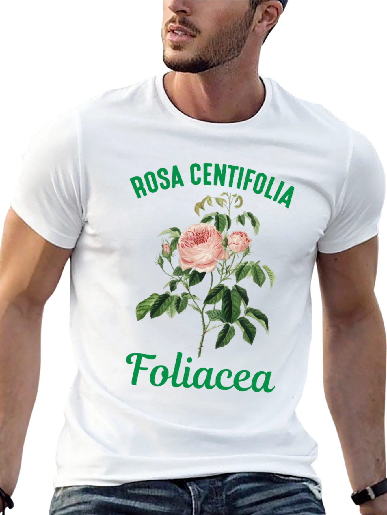 Rosa Centifolia Foliacea Graphic Tee
