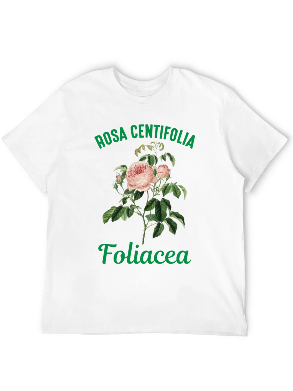 Rosa Centifolia Foliacea Graphic Tee