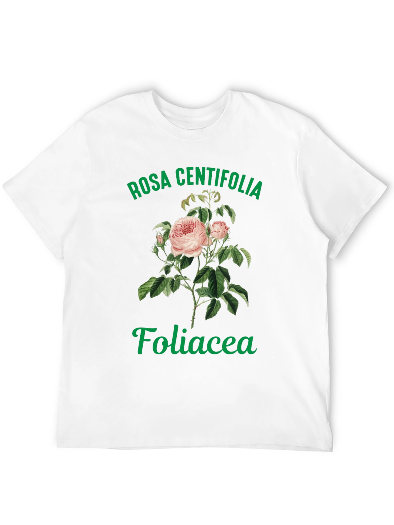 Rosa Centifolia Foliacea Graphic Tee