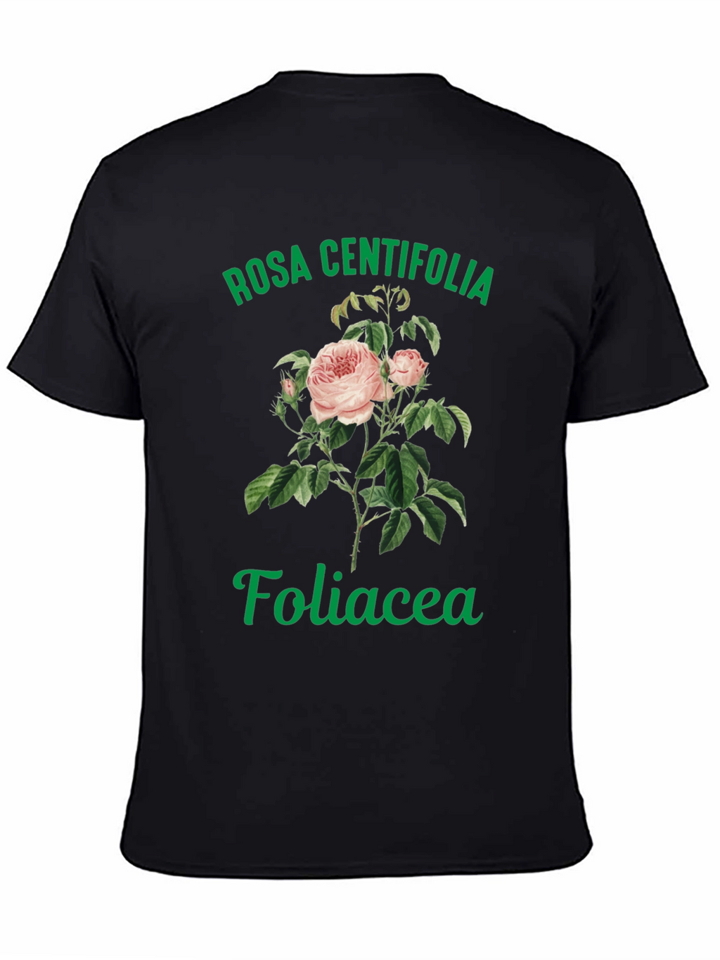 Rosa Centifolia Foliacea Graphic Tee