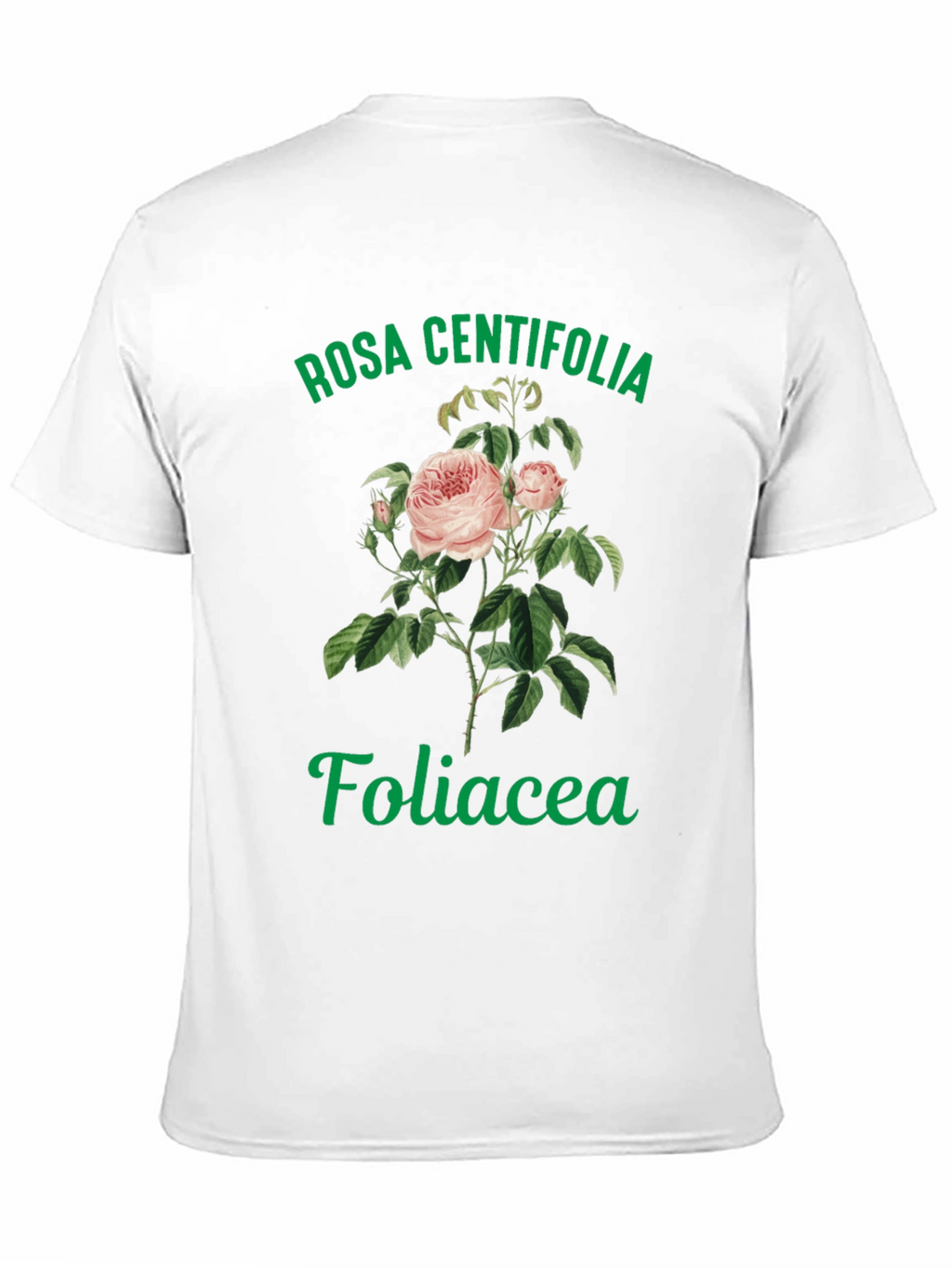 Rosa Centifolia Foliacea Graphic Tee