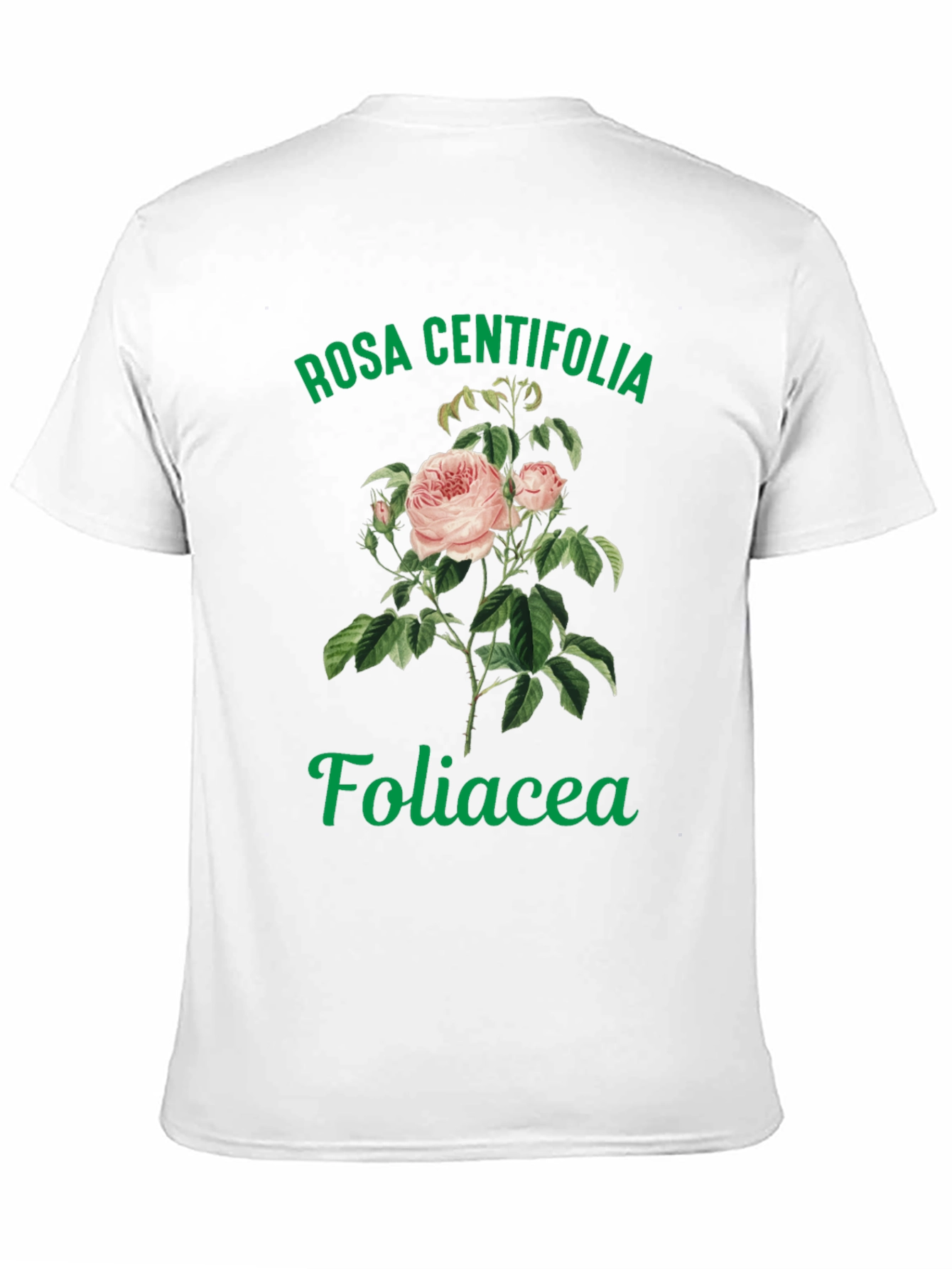 Rosa Centifolia Foliacea Graphic Tee