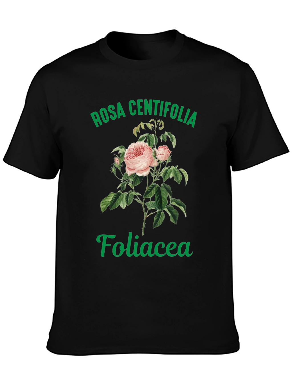 Rosa Centifolia Foliacea Graphic Tee