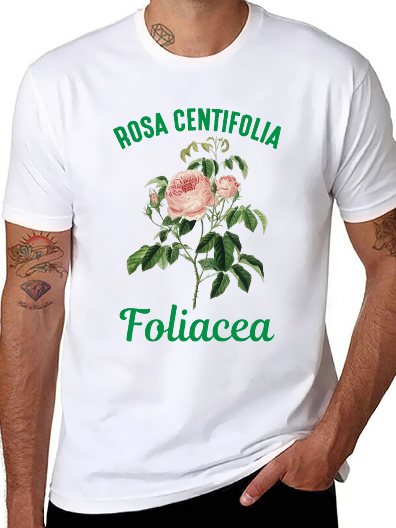 Rosa Centifolia Foliacea Graphic Tee