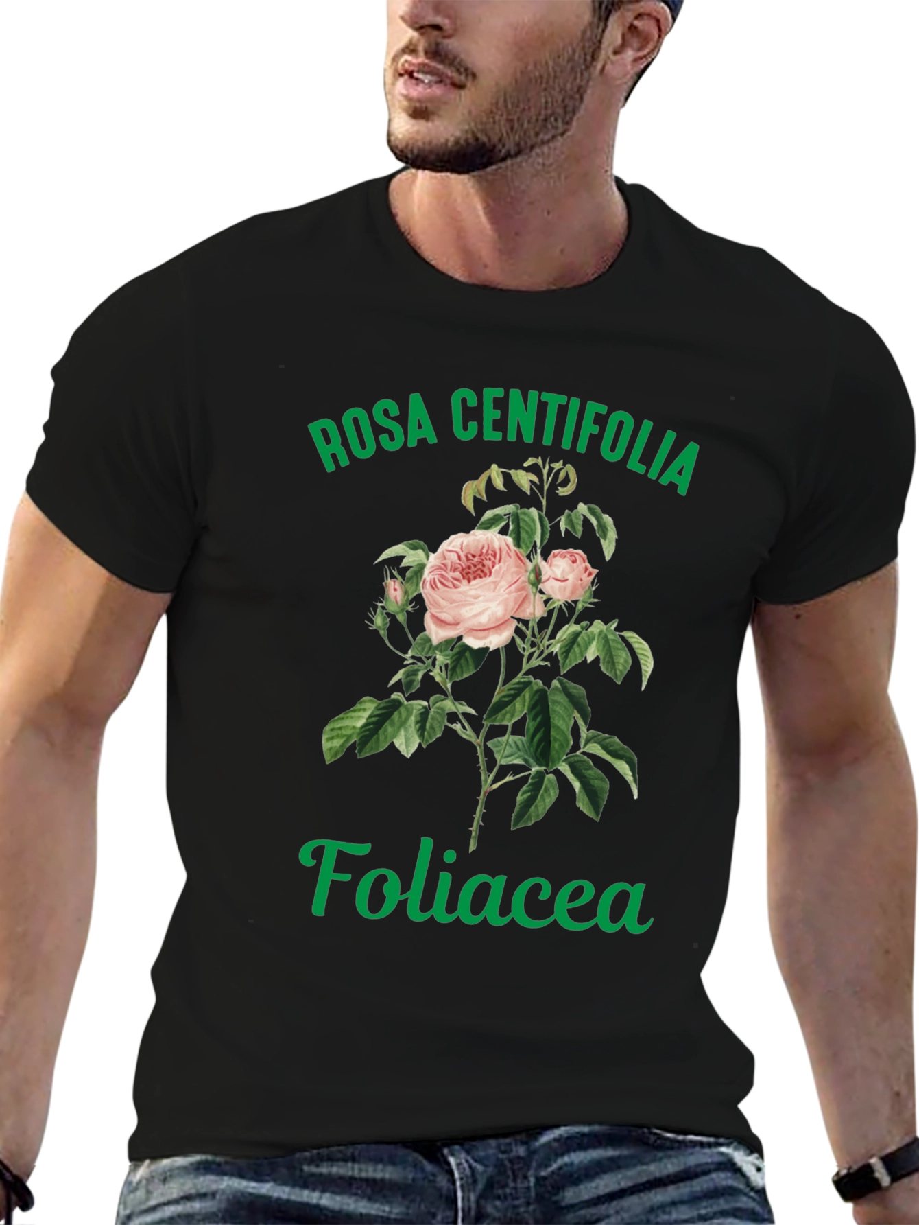 Rosa Centifolia Foliacea Graphic Tee