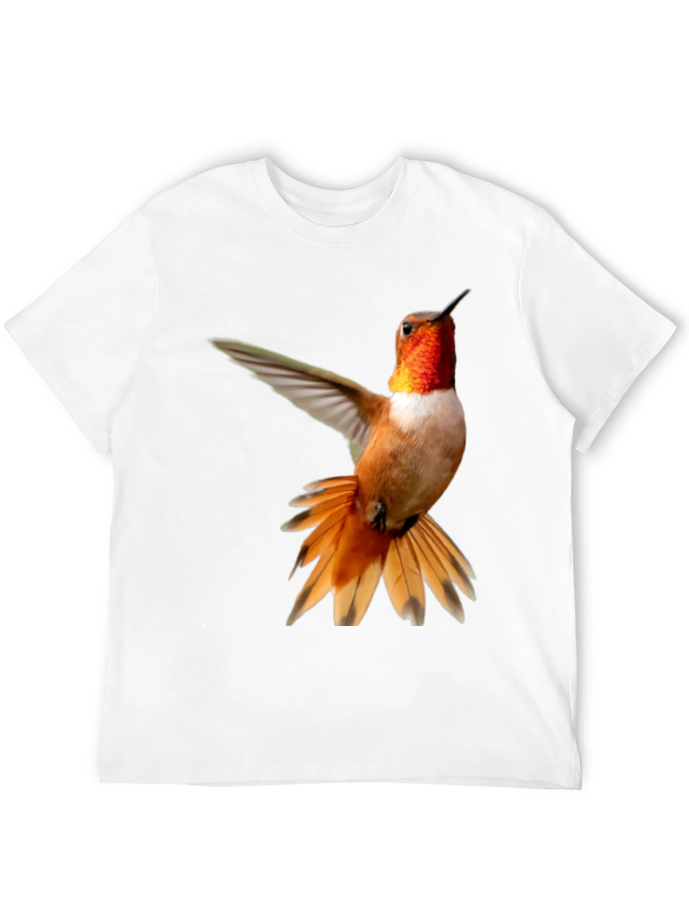 Hummingbird Graphic Tee - Black Cotton Blend