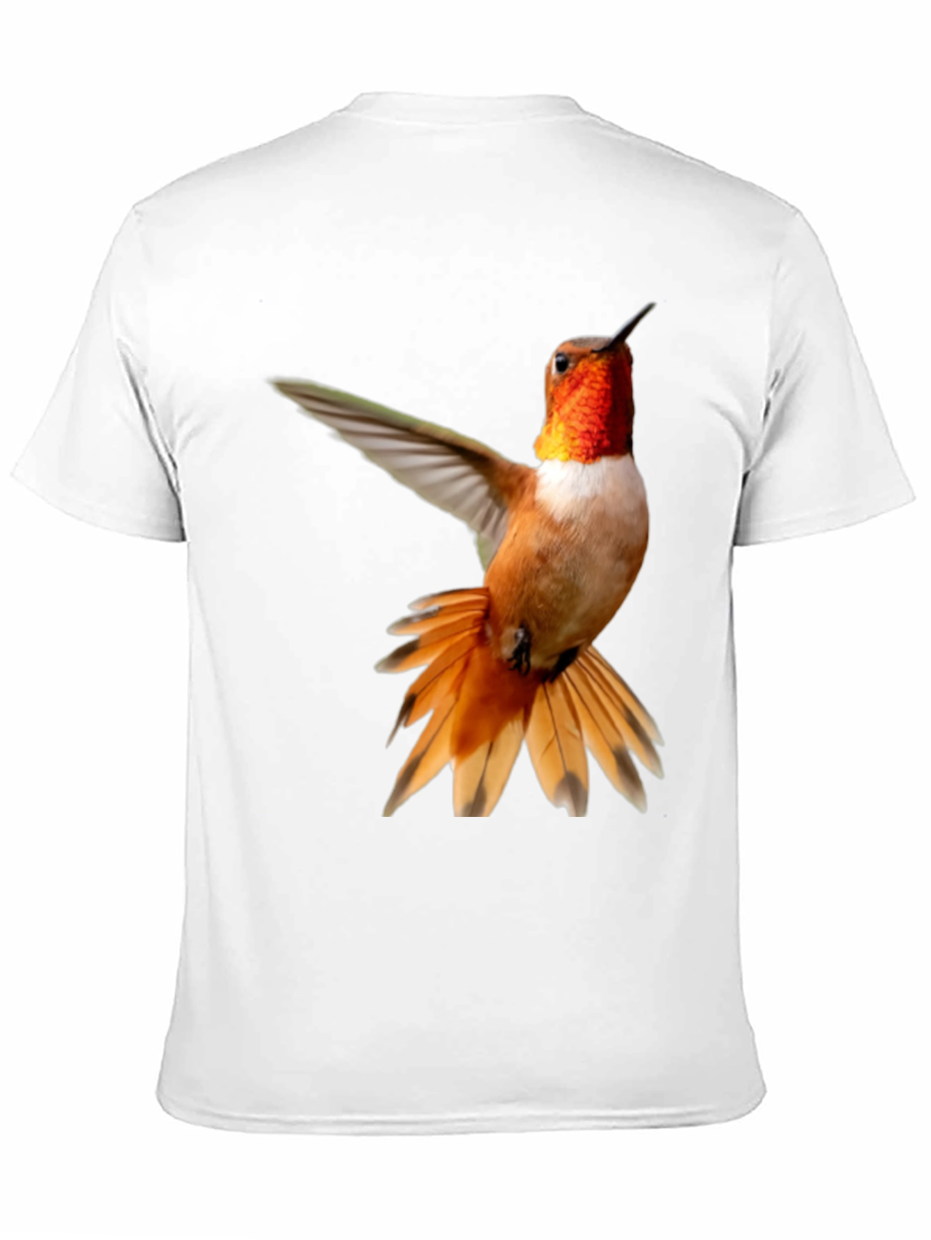 Hummingbird Graphic Tee - Black Cotton Blend