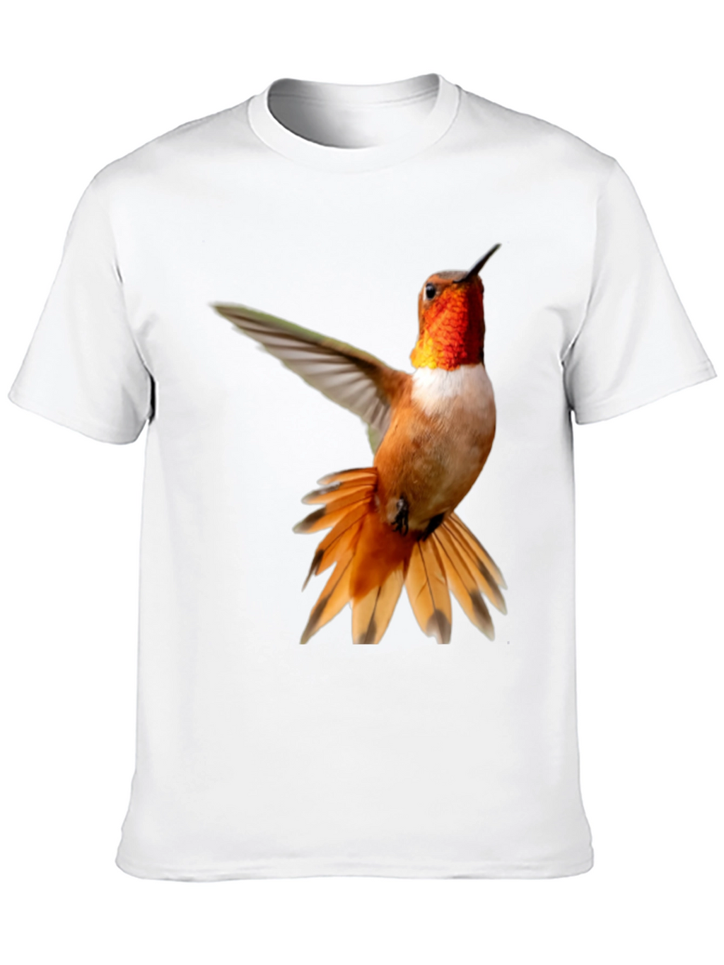 Hummingbird Graphic Tee - Black Cotton Blend