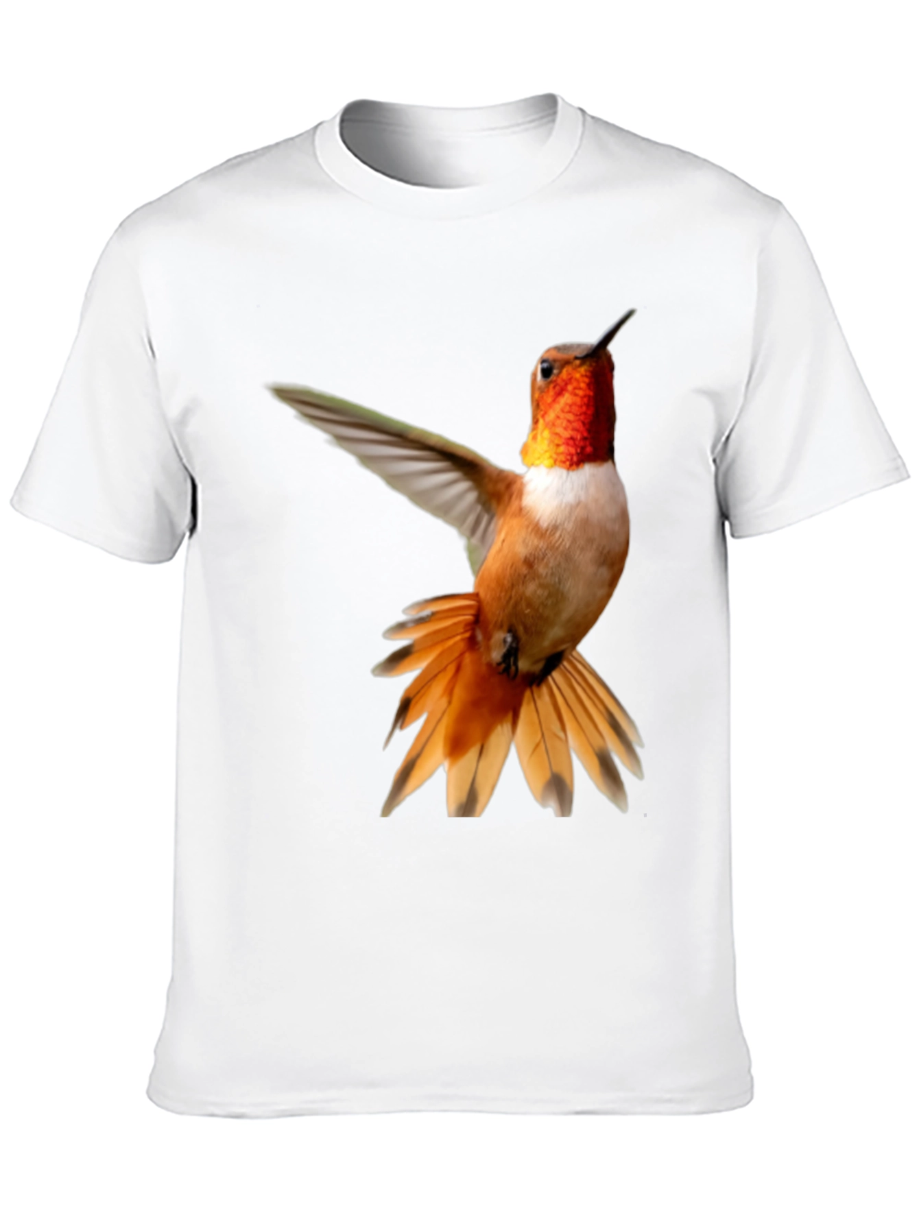 Hummingbird Graphic Tee - Black Cotton Blend