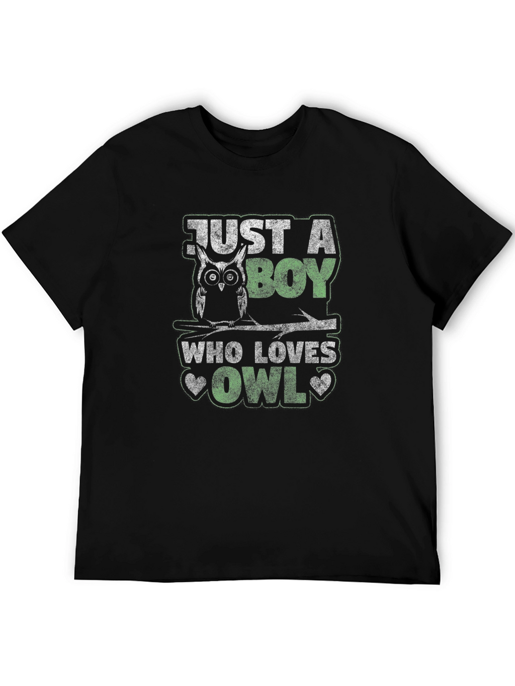 Just A Boy Who Loves Owls T-Shirt