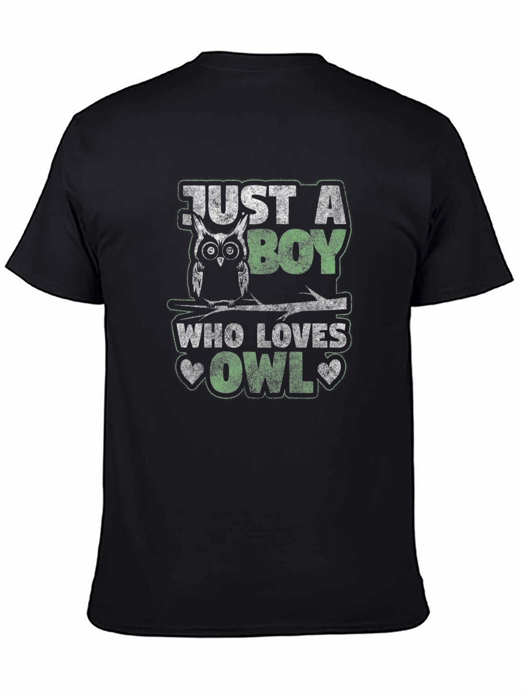 Just A Boy Who Loves Owls T-Shirt
