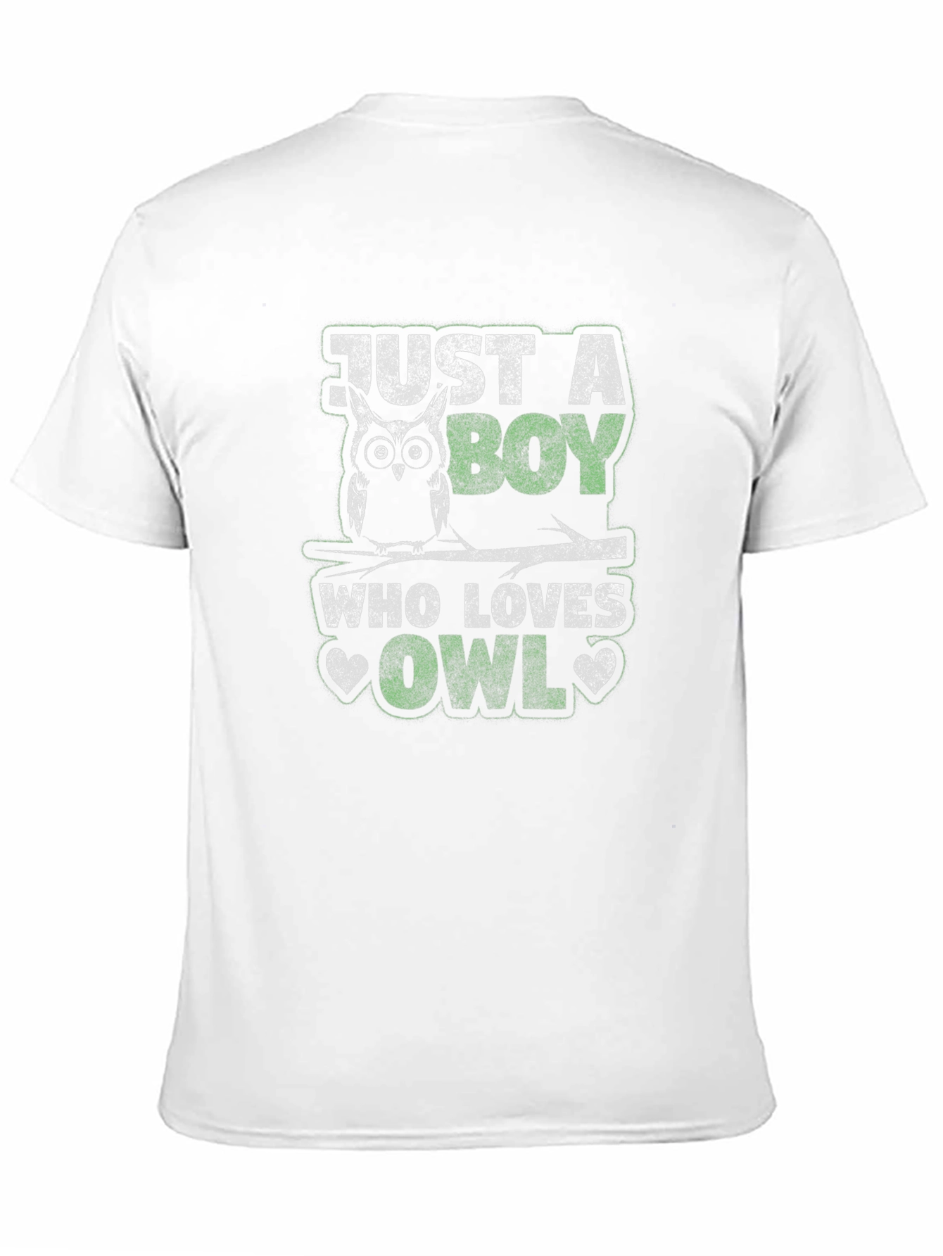 Just A Boy Who Loves Owls T-Shirt