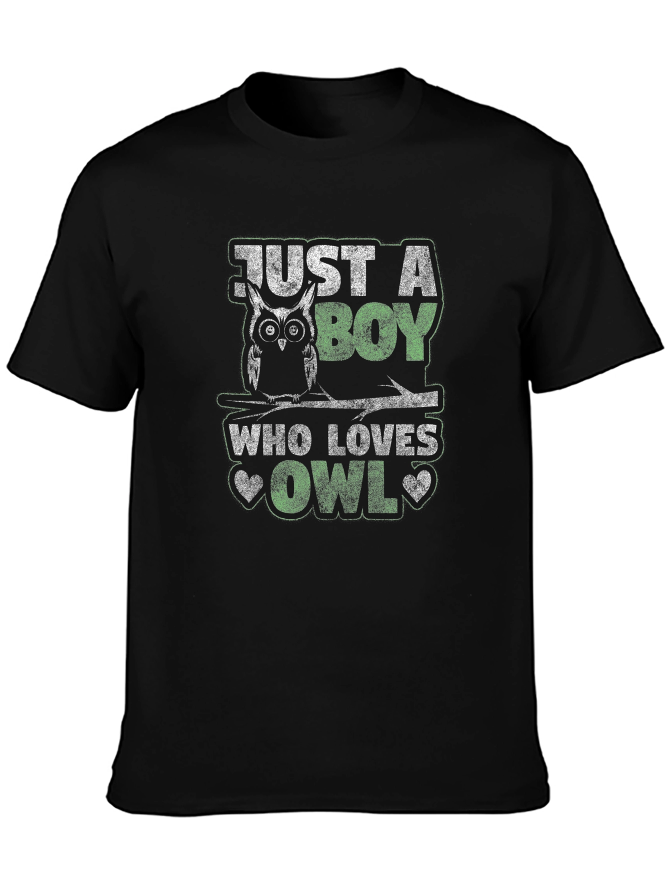 Just A Boy Who Loves Owls T-Shirt