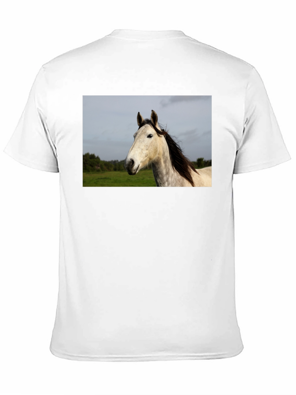 Horse Graphic Print Black T-Shirt