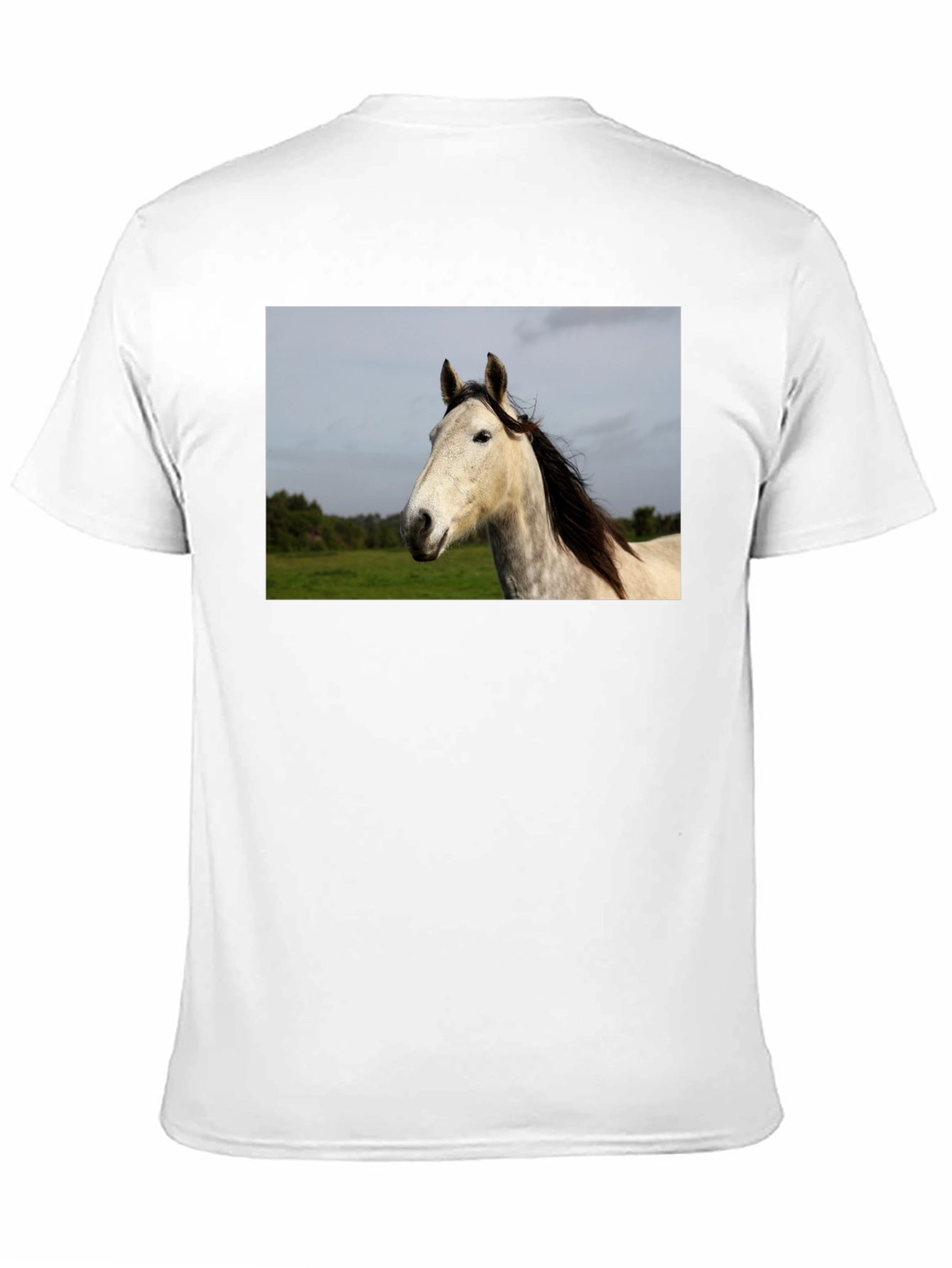 Horse Graphic Print Black T-Shirt