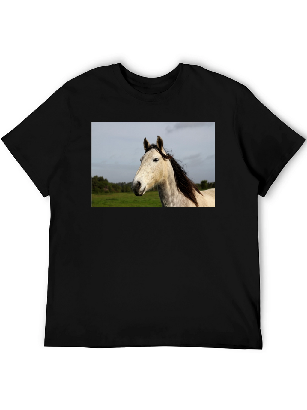 Horse Graphic Print Black T-Shirt