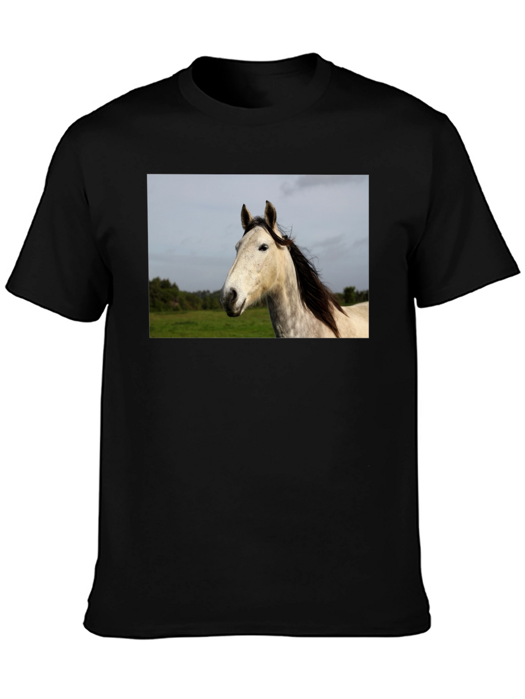 Horse Graphic Print Black T-Shirt