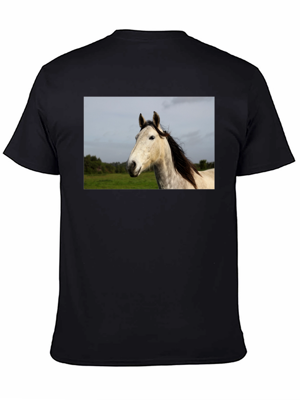 Horse Graphic Print Black T-Shirt