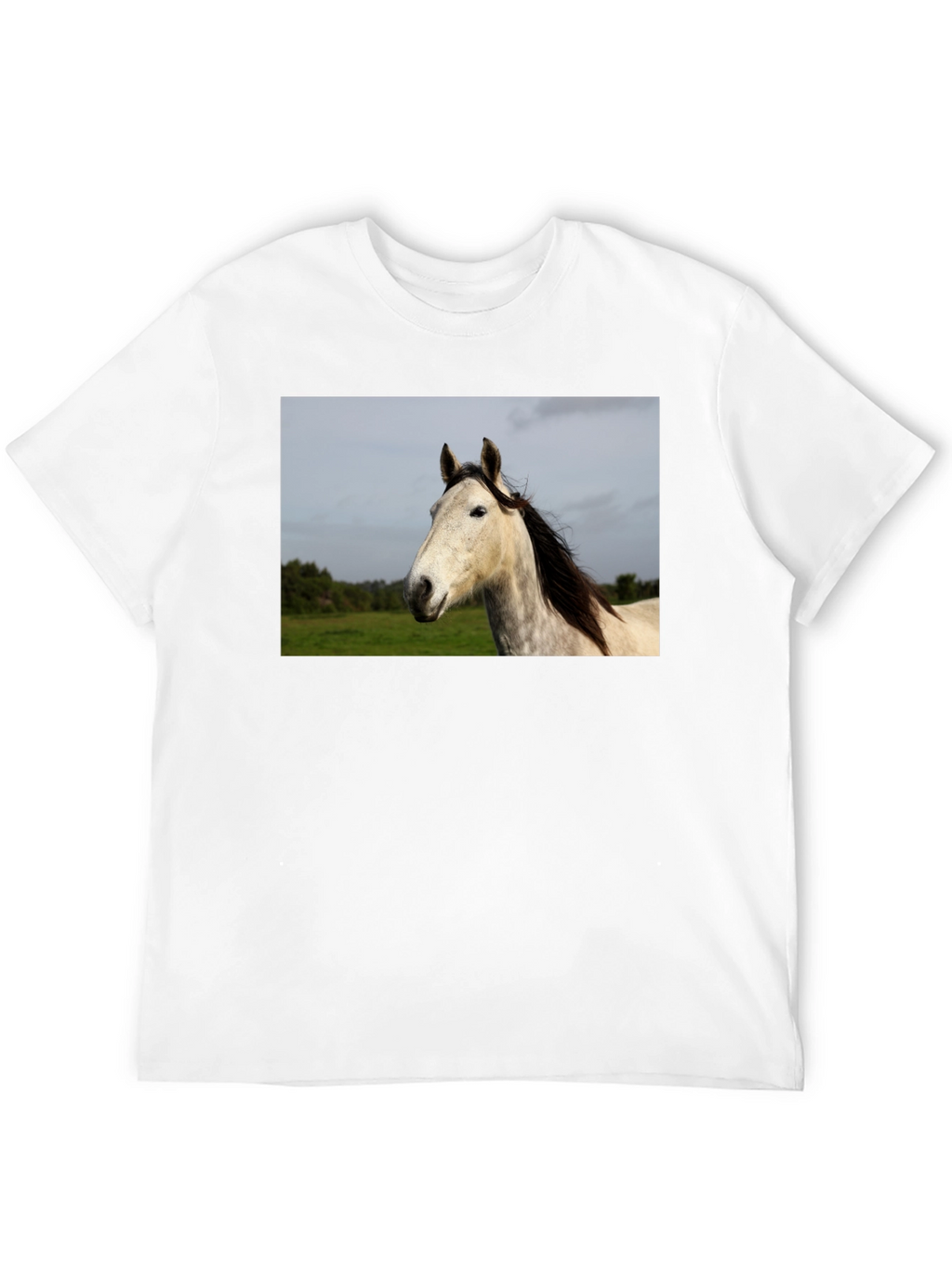 Horse Graphic Print Black T-Shirt
