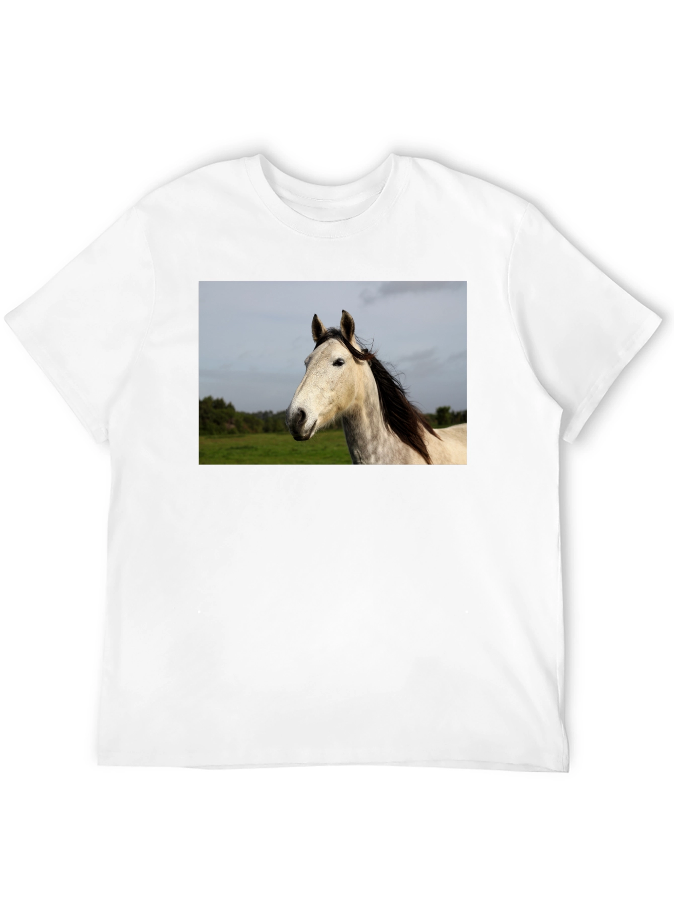 Horse Graphic Print Black T-Shirt
