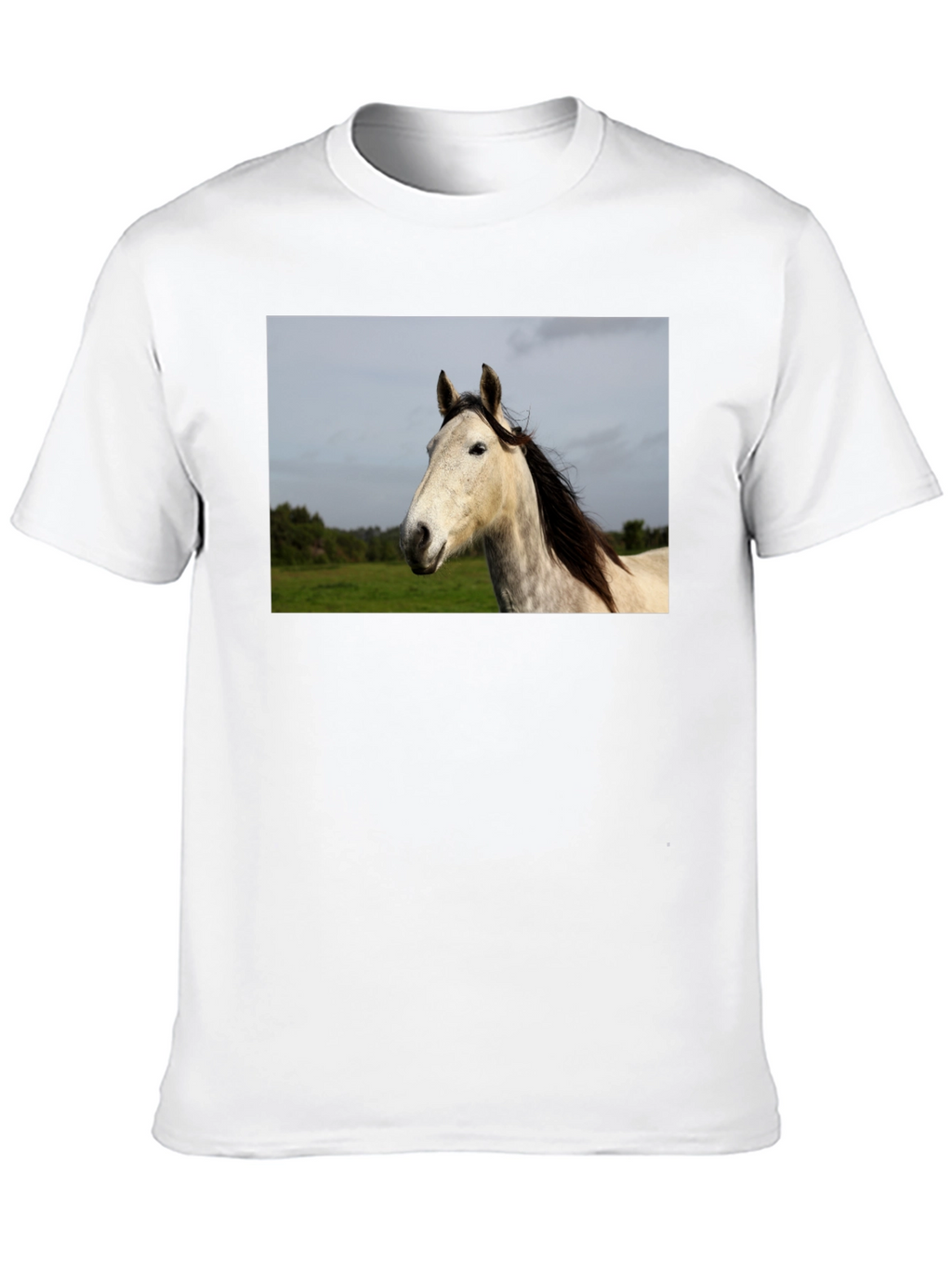 Horse Graphic Print Black T-Shirt