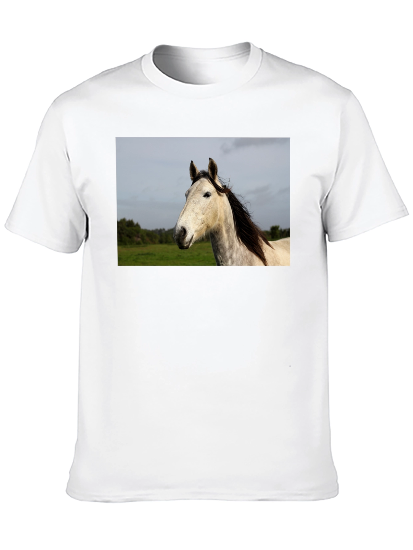 Horse Graphic Print Black T-Shirt