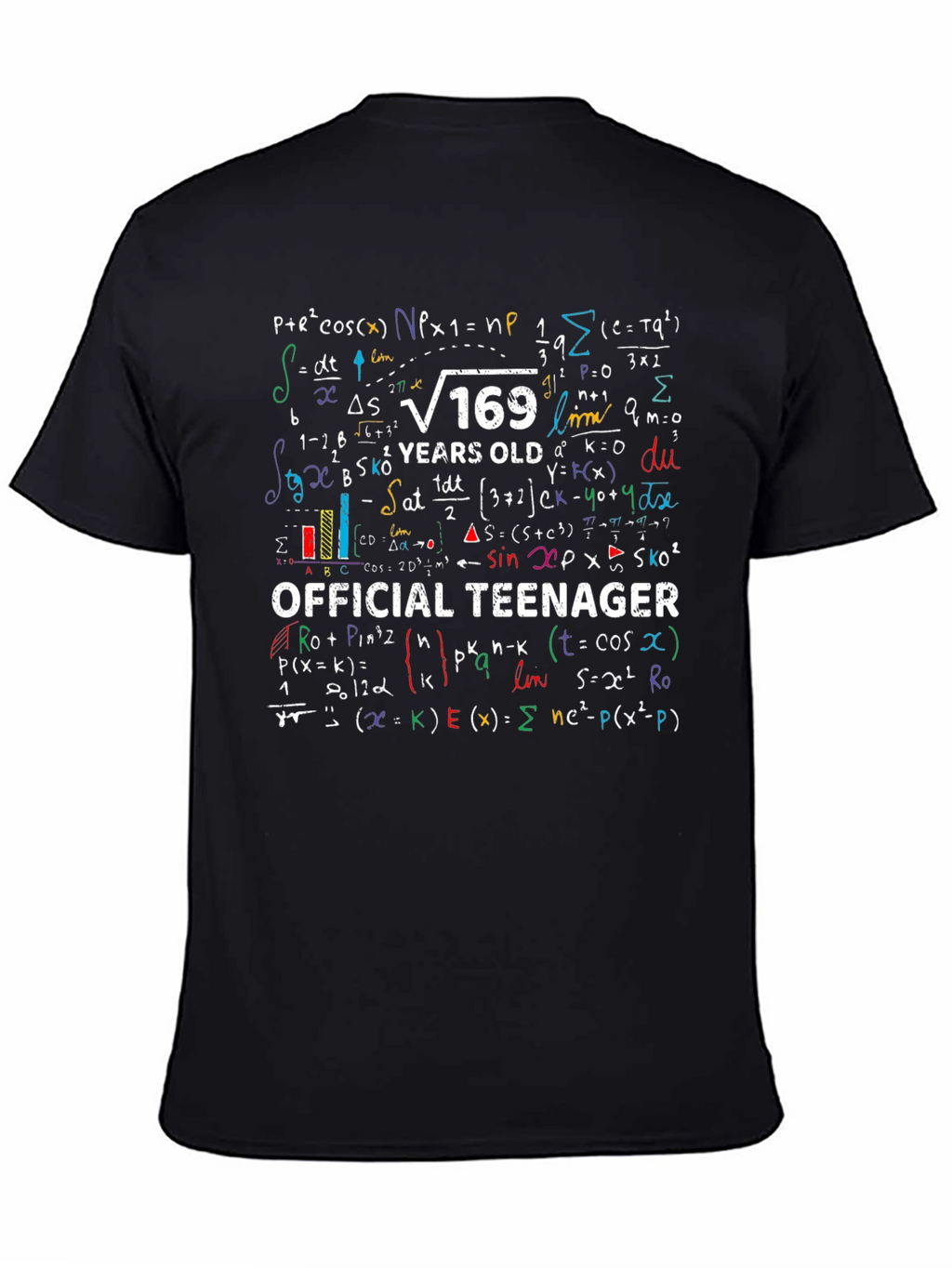 Official Teenager Math Formula Graphic T-Shirt