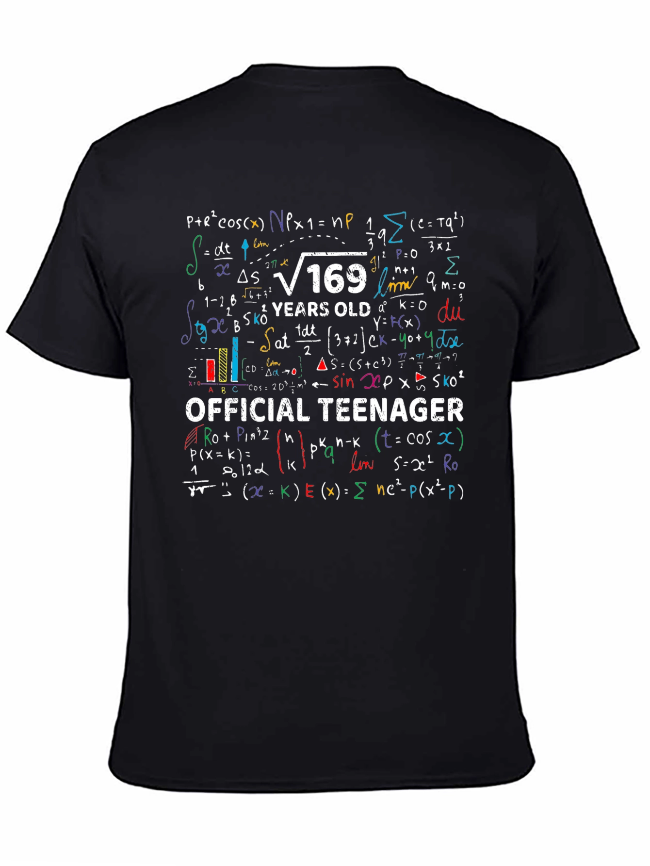 Official Teenager Math Formula Graphic T-Shirt