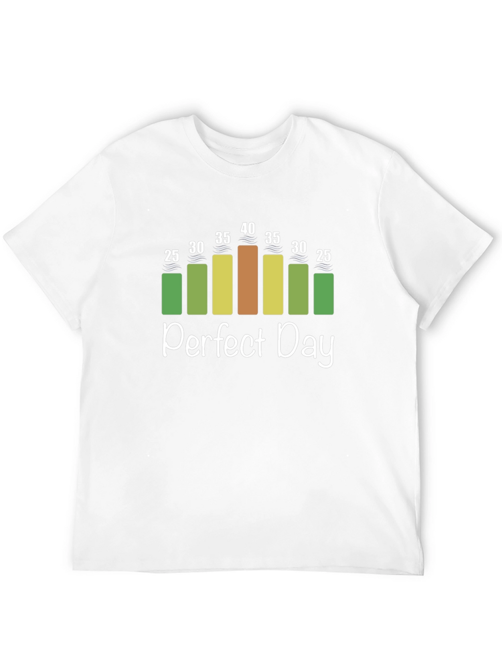 Perfect Day Weather Chart T-Shirt