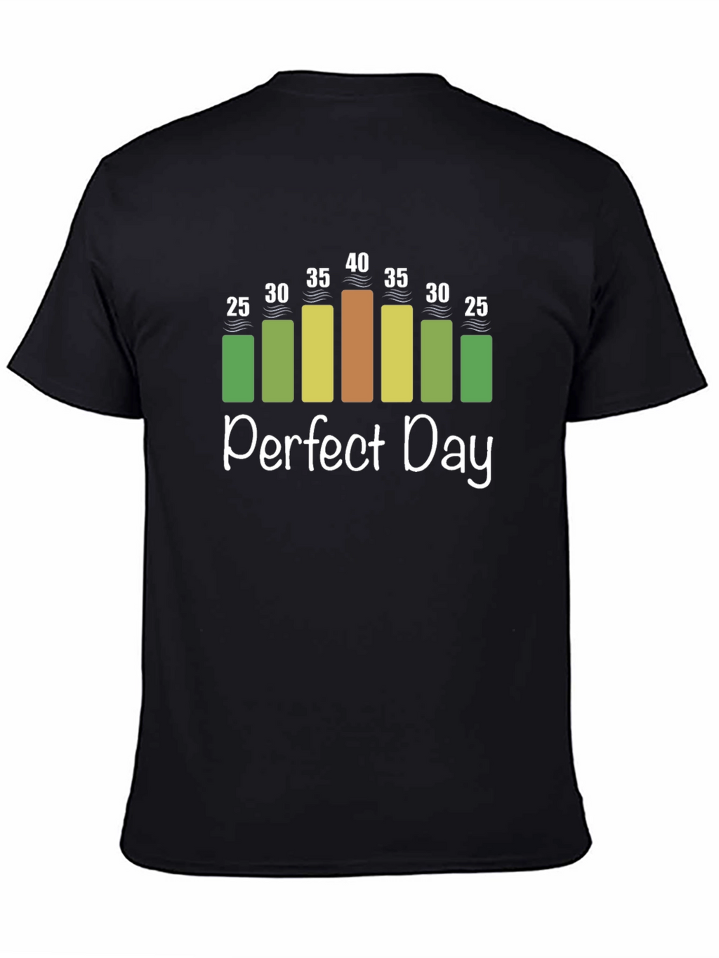 Perfect Day Weather Chart T-Shirt