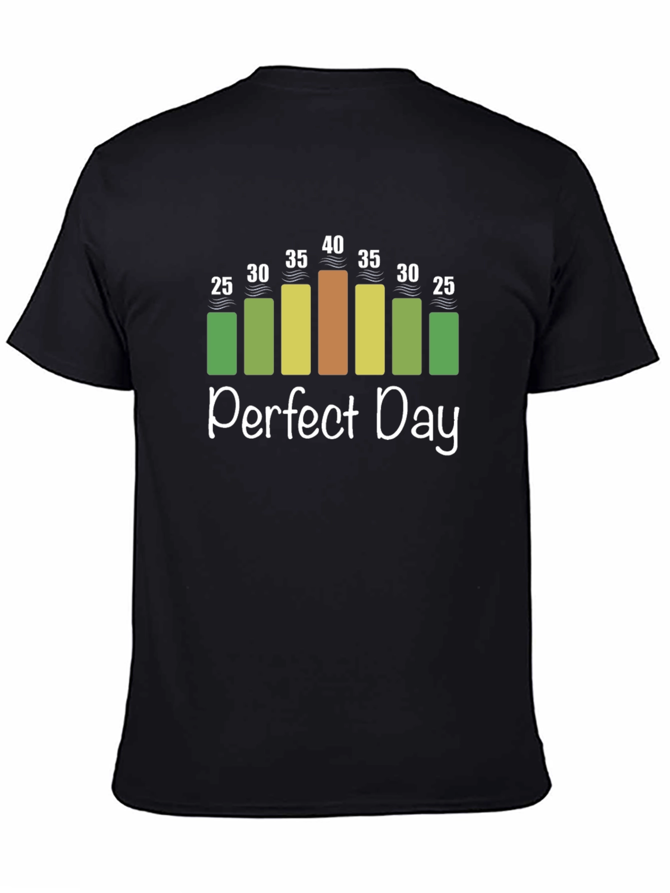 Perfect Day Weather Chart T-Shirt