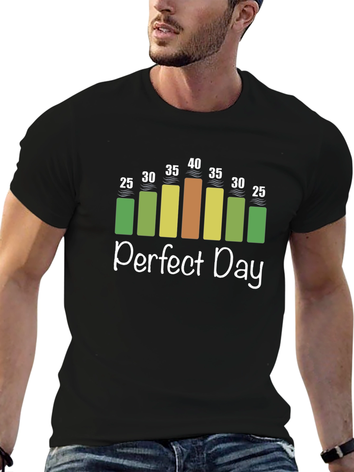 Perfect Day Weather Chart T-Shirt