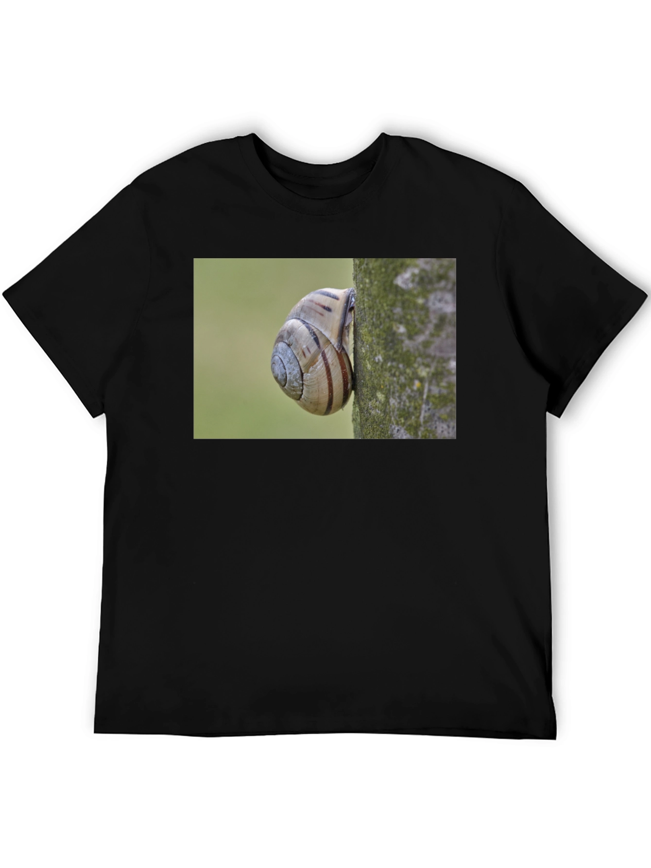 Snail on Tree Black T-Shirt