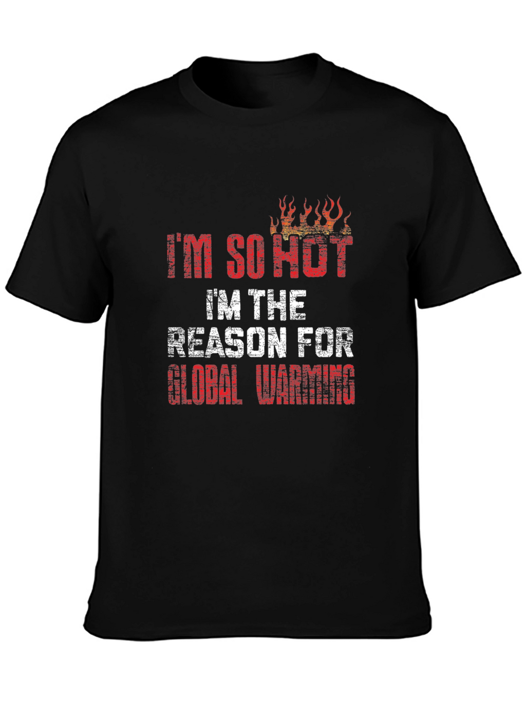 Im So Hot T-Shirt