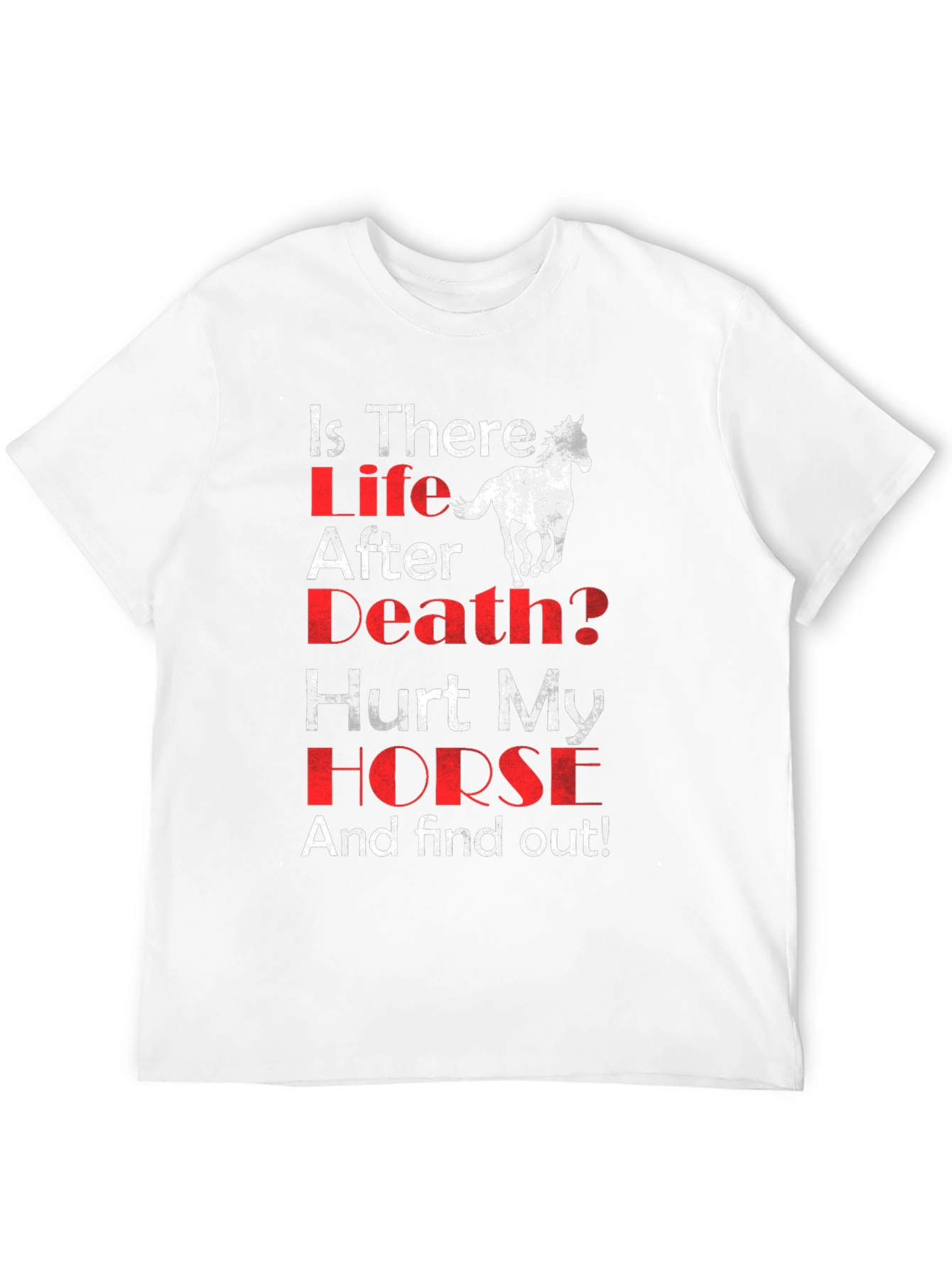 Is There Life After Death? Horse Graphic T-Shirt