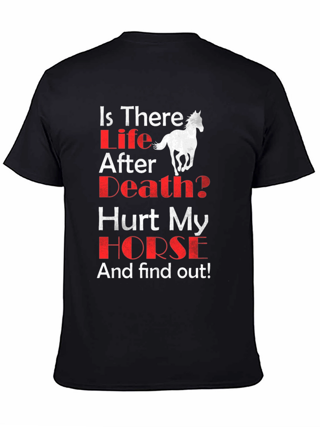 Is There Life After Death? Horse Graphic T-Shirt