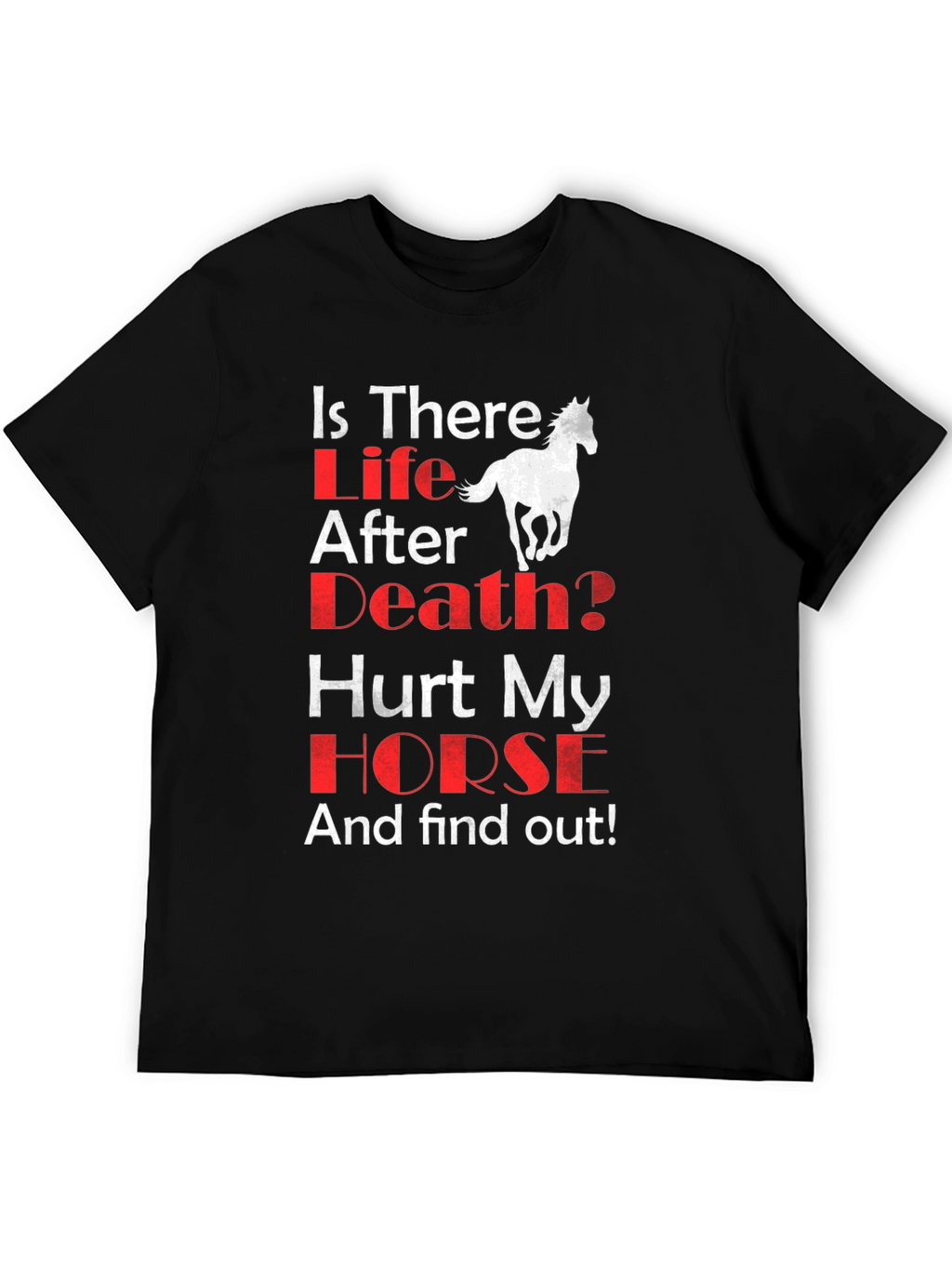 Is There Life After Death? Horse Graphic T-Shirt