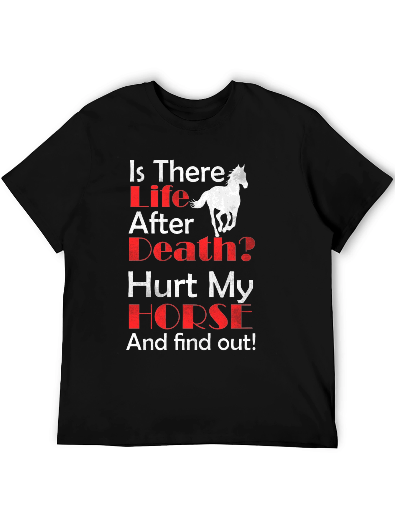 Is There Life After Death? Horse Graphic T-Shirt