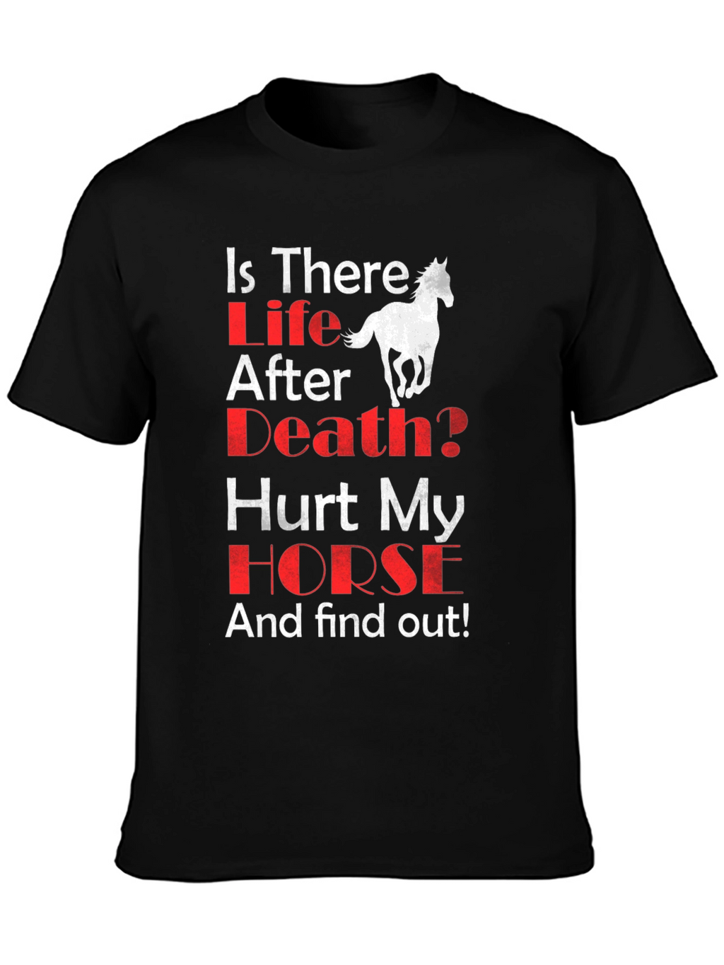 Is There Life After Death? Horse Graphic T-Shirt