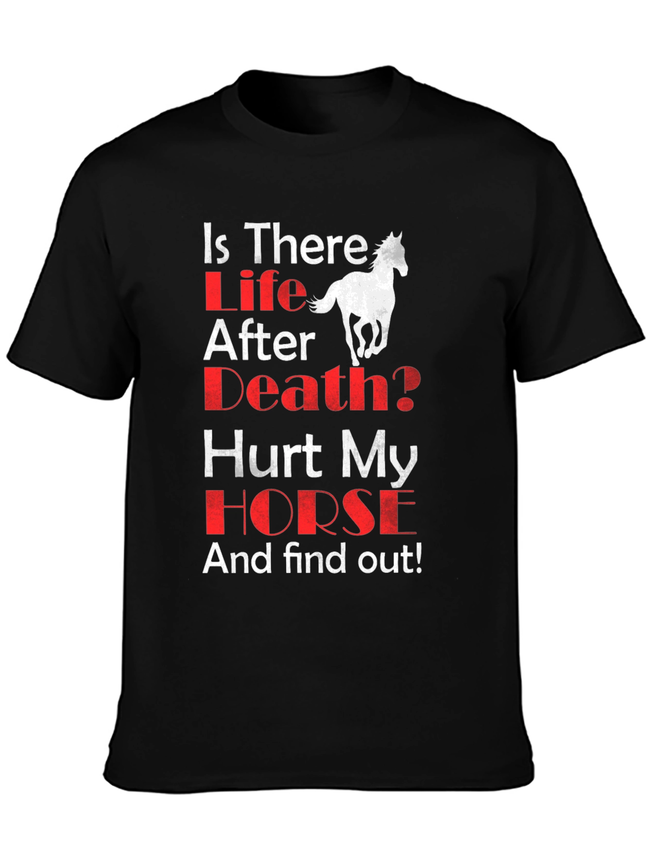 Is There Life After Death? Horse Graphic T-Shirt