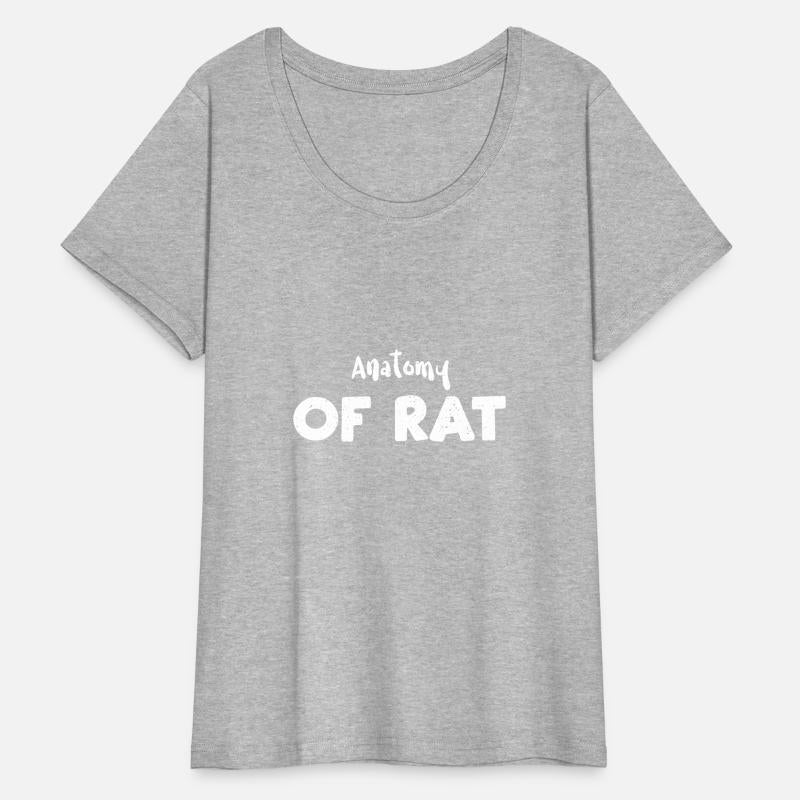 Anatomy Of Rat - Science