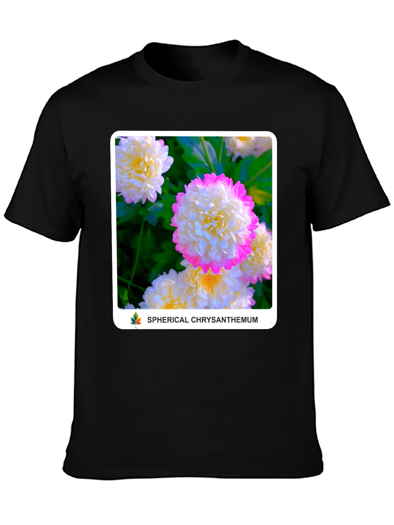 Spherical Chrysanthemum Graphic Tee