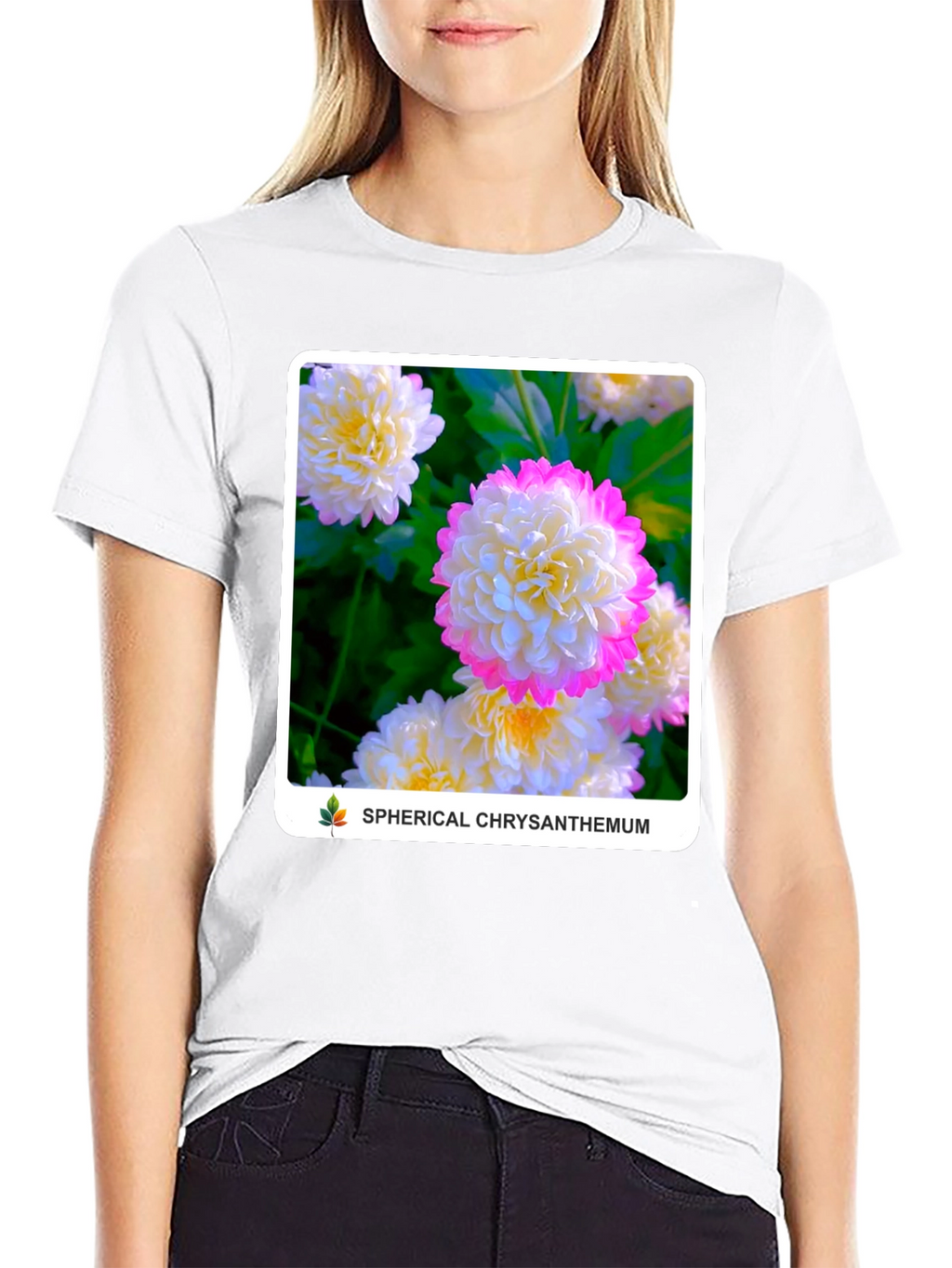 Spherical Chrysanthemum Graphic Tee