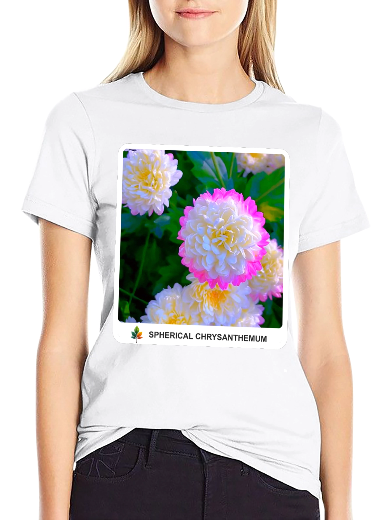 Spherical Chrysanthemum Graphic Tee